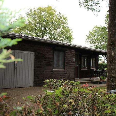 Hôtel Chalet les brulins à Resteigne Extérieur photo